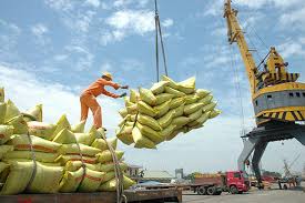 Mỹ là thị trường gạo Việt Nam xuất khẩu được giá nhất 11 tháng đầu năm 2020
