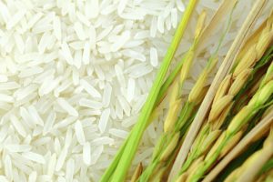 Ấn Độ gia hạn thời gian xuất khẩu gạo tấm đến 15/10