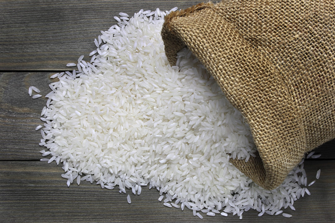 Tiêu thụ gạo của các nhà máy TĂCN Nhật bản tăng cao.