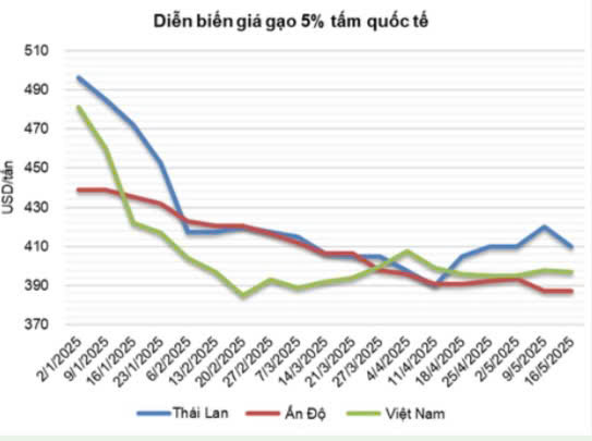 Diễn biến giá gạo 5% tấm của Thái Lan, Ấn Độ và Việt Nam